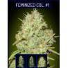 Feminized Col 1 · Advanced Seeds · semi di canapa · Fem