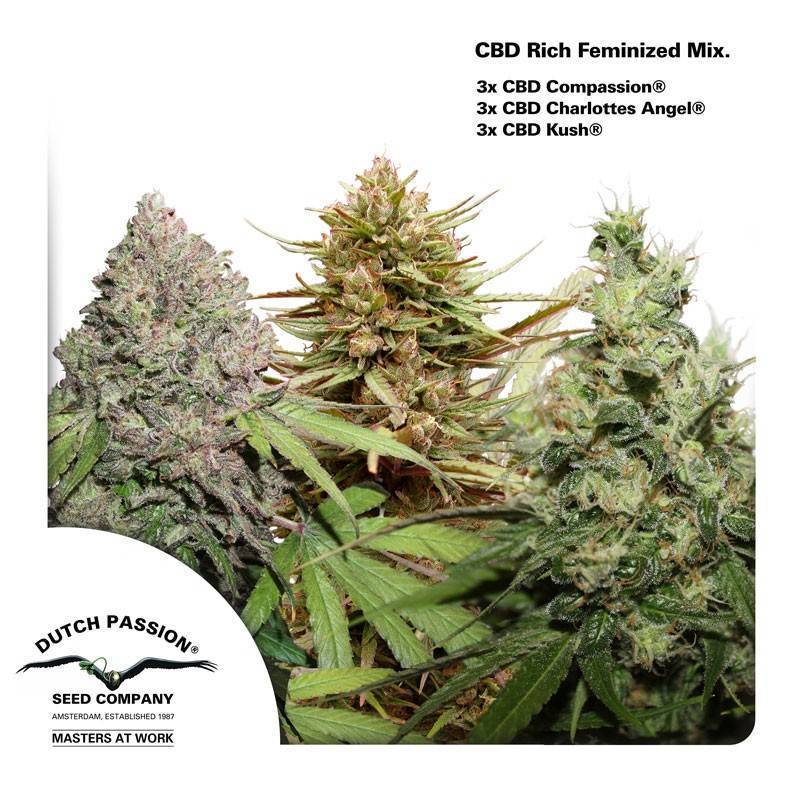 CBD RICH FEMINIZED MIX ·  Dutch Passion · semi di canapa indiana  · Fem