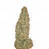 HUBBLE BUBBLE· Mandala Seeds · cannabis seeds - Fem