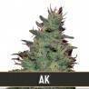 AK Auto · Blimburn Seeds · semi di canapa · AutoFem