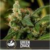 Green Crack · Blimburn Seeds · cannabis seeds · Fem
