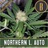 Northern Lights Auto · Blimburn Seeds · semi di canapa · AutoFem