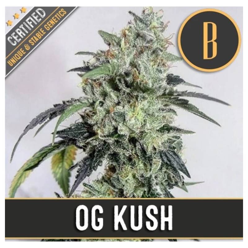 OG Kush · Blimburn Seeds · cannabis seeds · Fem