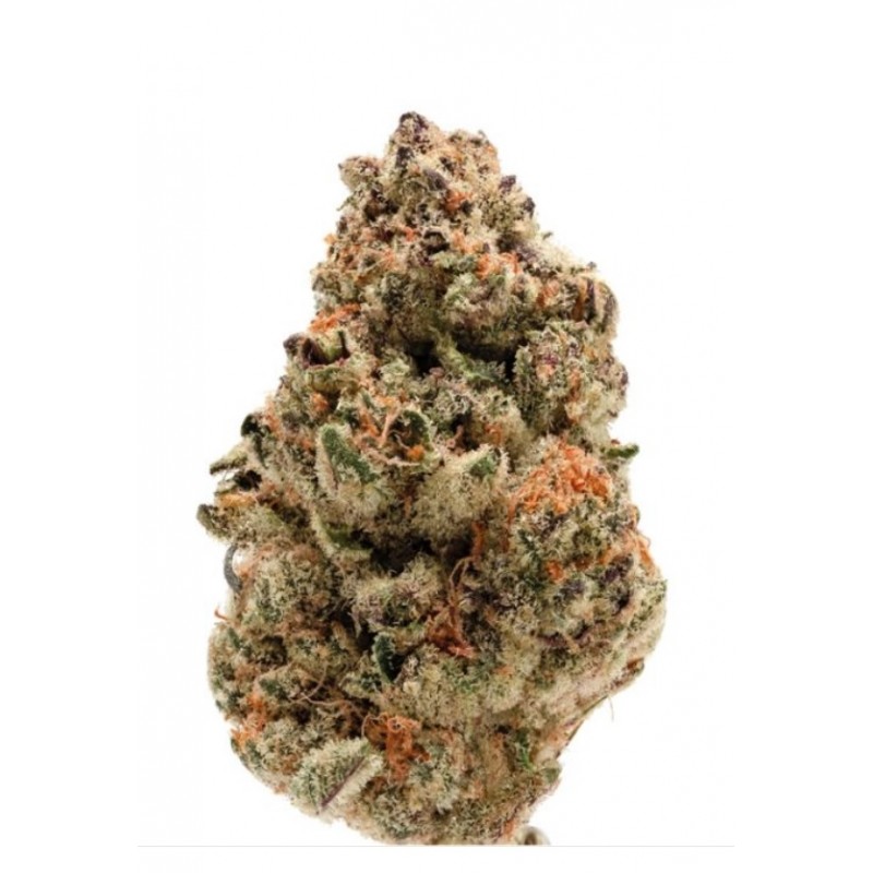 ZKITTLEZ · Dr Green Seeds · semi di canapa all ingrosso · Fem