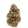 ZKITTLEZ · Dr Green Seeds · semi di canapa all ingrosso · Fem
