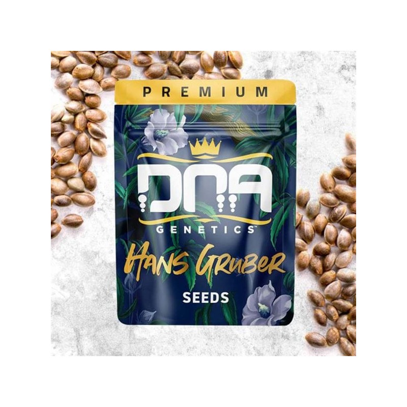 HANS GRUBER · DNA Genetics · semi di canapa indiana · Fem