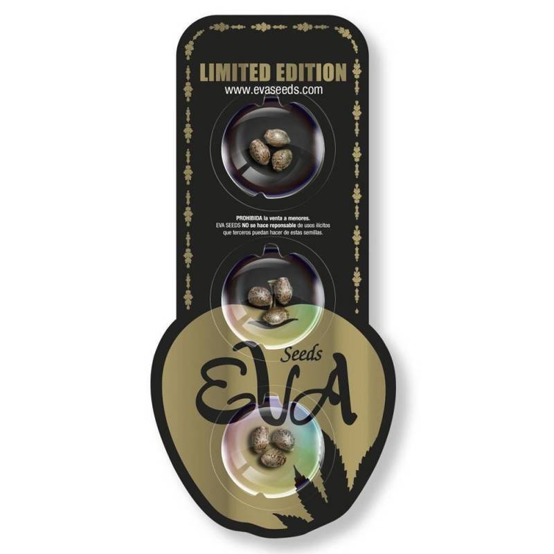 B. DOMINA X J. HERER X CRITICAL SWISS · Eva Seeds · kaufen cannabis samen · Fem