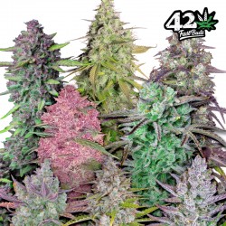MIX PACK AUTO · FastBuds Seeds · sementes de maconha · AutoFem
