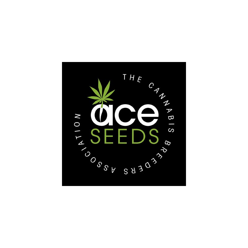 CBD 1 X MALAWI · Ace Seeds · sementes de maconha · Fem