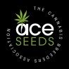 CBD 1 X MALAWI · Ace Seeds · sementes de maconha  · Fem