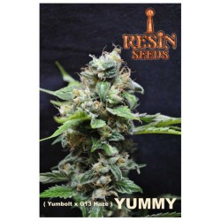 YUMMY · Resin Seeds · semi...
