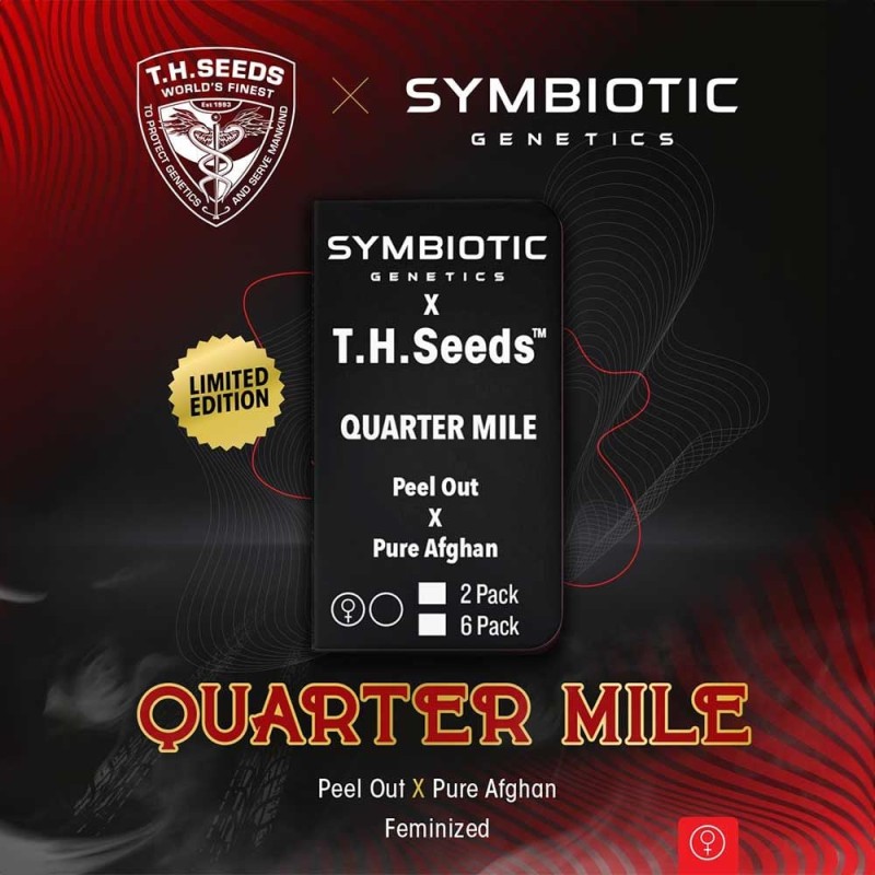 QUARTER MILE · TH Seeds · semi di canapa · Fem