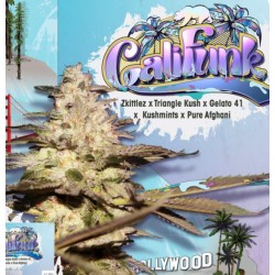 CALIFUNK  · TH Seeds · semi...