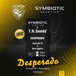 DESPERADO · TH Seeds · semi...