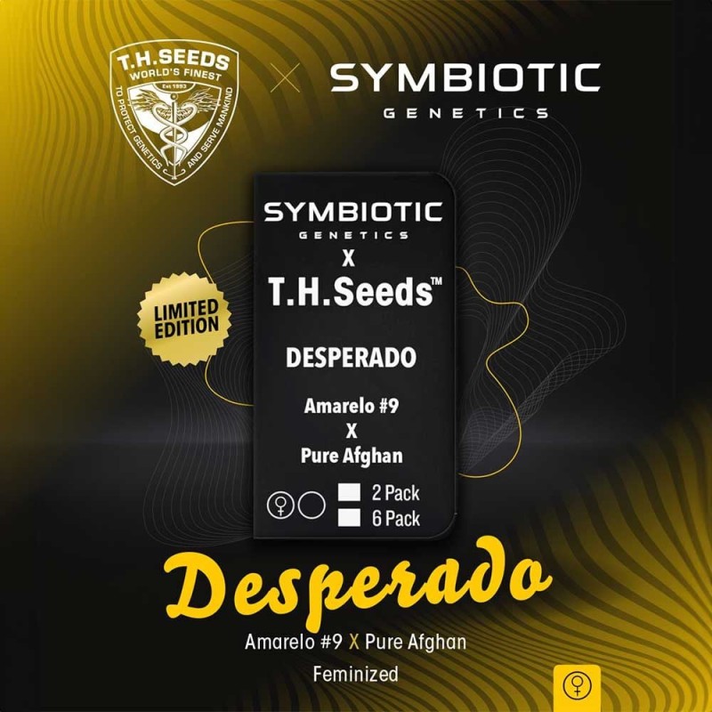 DESPERADO · TH Seeds · semi di canapa · Fem