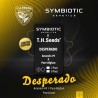 DESPERADO · TH Seeds · kenevir tohum · Disi · Fem