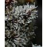 LEMON CHERRY GELATO · Barneys Farm · kenevir tohum · Disi · Fem