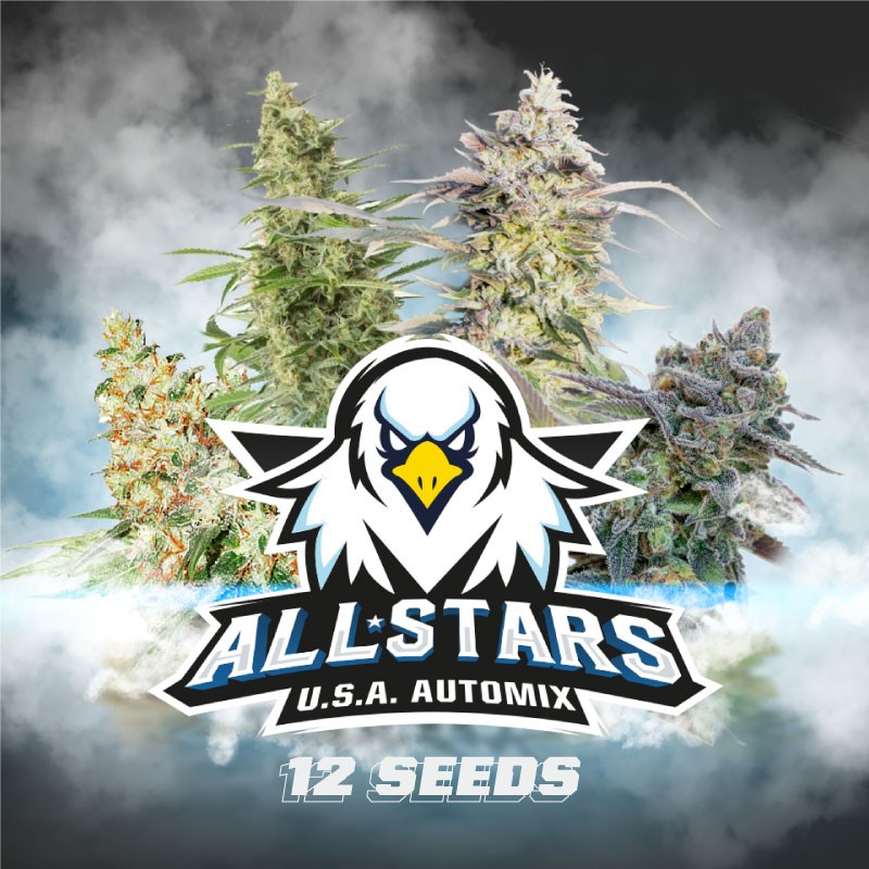 ALL STARS USA AUTOMIX · BSF Seeds · semi di canapa · AutoFem