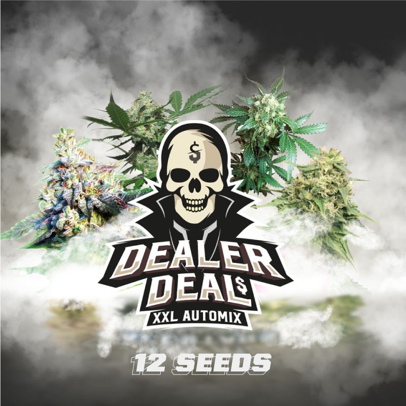 DEALER DEAL XXL AUTOMIX · BSF Seeds · semi di canapa · AutoFem