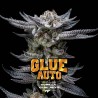 GORILLA GLUE AUTO · BSF Seeds · semi di canapa · AutoFem