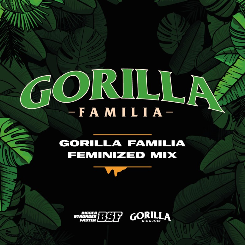 GORILLA FAMILIA FEMINIZED MIX · BSF Seeds · semi di canapa · Fem
