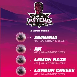 PSYCHO XXL AUTOMIX · BSF Seeds · semi di canapa · AutoFem