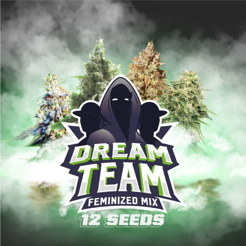 DREAM TEAM FEMINIZED MIX · BSF Seeds · semi di canapa · Fem
