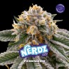 NERDZ · BSF Seeds · semi di canapa · Fem