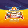 ORANGE BLOSSOM XXL AUTO · BSF Seeds · semi di canapa · AutoFem