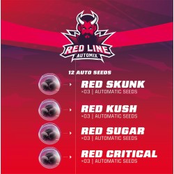 RED LINE AUTOMIX · BSF Seeds · semi di canapa · AutoFem