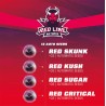RED LINE AUTOMIX · BSF Seeds · semi di canapa · AutoFem