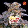 TROPICHERRY · BSF Seeds · semi di canapa · Fem