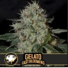 Gelato FB · Blimburn Seeds · cannabis seeds · Fem