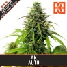 AK Auto · Blimburn Seeds · semi di canapa · AutoFem