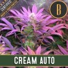 Cream Auto · Blimburn Seeds · semi di canapa · AutoFem