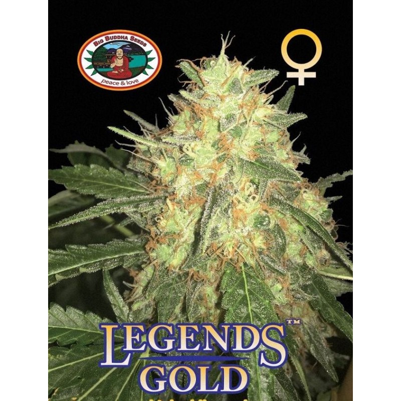 LEGENDS GOLD · Big Buddha Seeds · semi di canapa · Fem