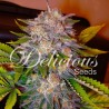 CARAMELO · Delicious · sementes de maconha · Fem