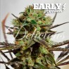 DELICIOUS CANDY EARLY VERSION · Delicious · semi di canapa · Fem