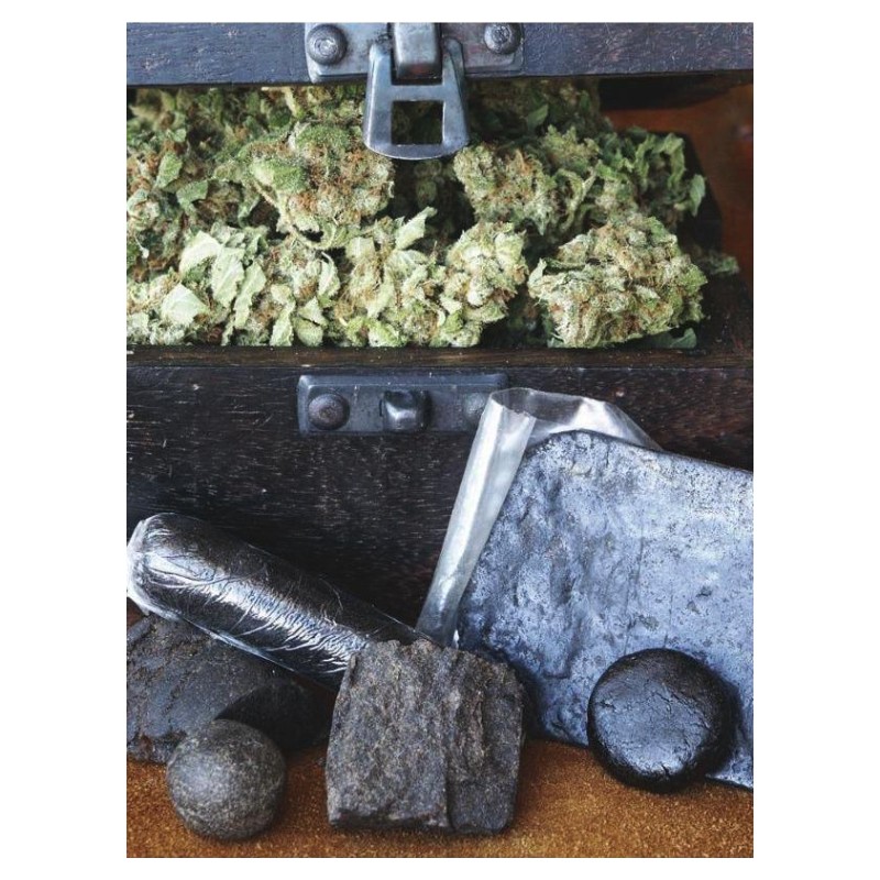 HASHBERRY · Mandala Seeds · semi di canapa - Reg