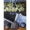 HASHBERRY · Mandala Seeds · cannabis samen - Reg
