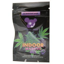 INDOOR MASSIVE MIX · Anesia Seeds · cannabis seeds · Fem