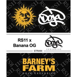 RS11 X BANANA OG · Barneys Farm · semi di canapa · Fem