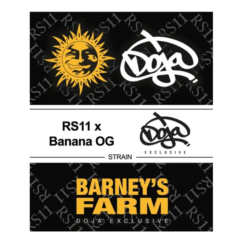 RS11 X BANANA OG · Barneys Farm · kenevir tohum · Disi · Fem