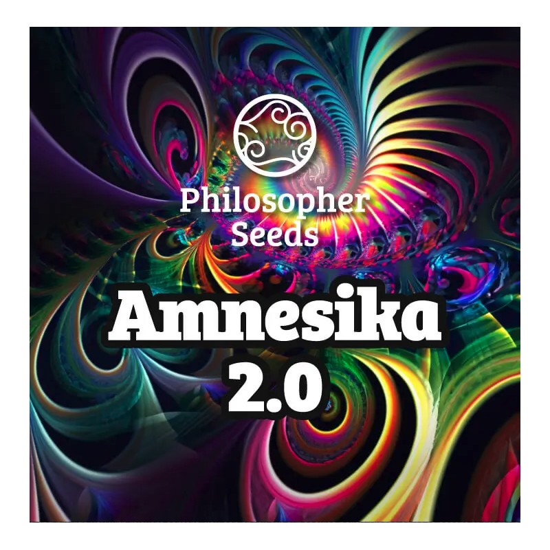 AMNESIKA 2.0 · Philosopher Seeds · semi di canapa · Fem