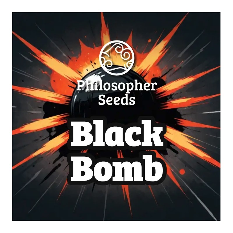 BLACK BOMB · Philosopher Seeds · semi di canapa · Fem