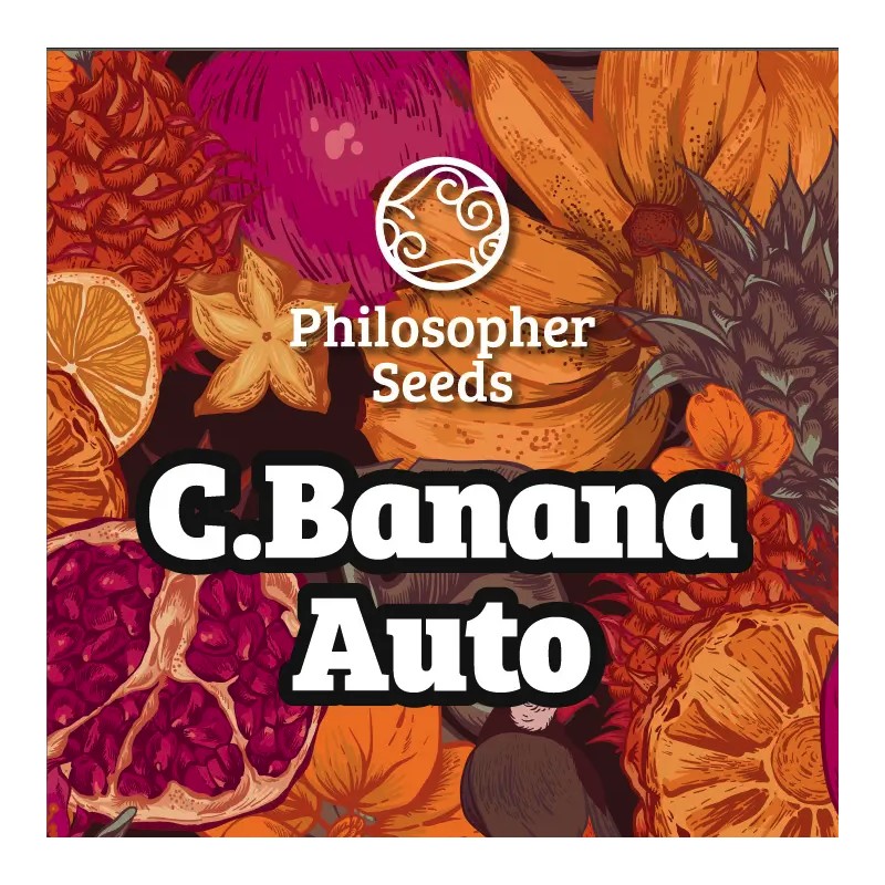C BANANA AUTO · Philosopher Seeds · kaufen cannabis samen · AutoFem