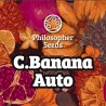 C BANANA AUTO · Philosopher Seeds · sementes de maconha · AutoFem