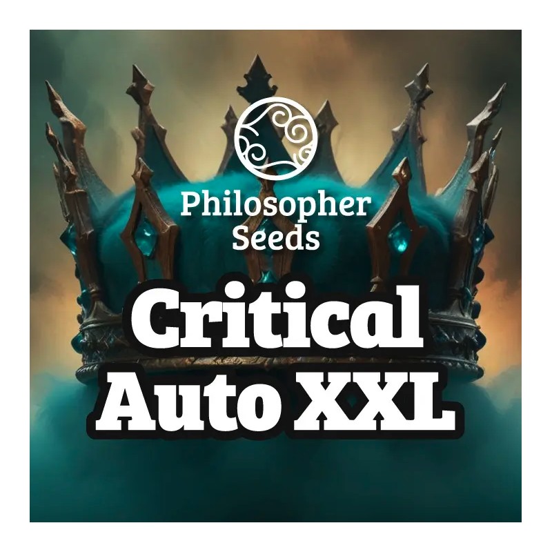 CRITICAL AUTO XXL · Philosopher Seeds · sementes de maconha · AutoFem