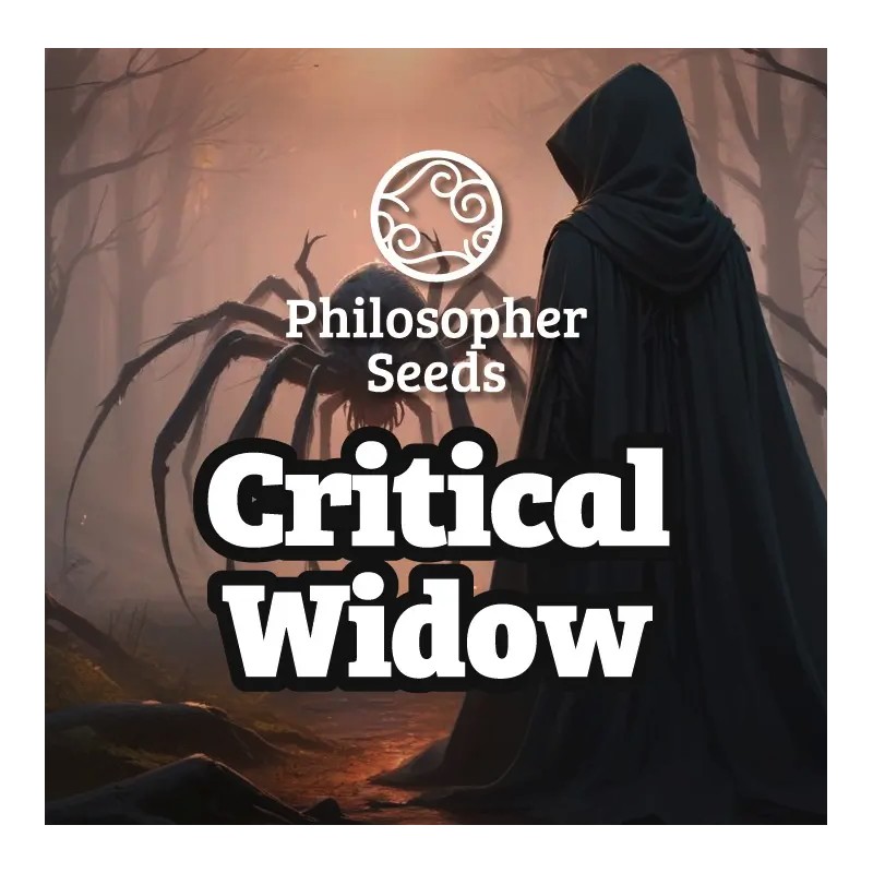 CRITICAL WIDOW · Philosopher Seeds · semi di canapa · Fem