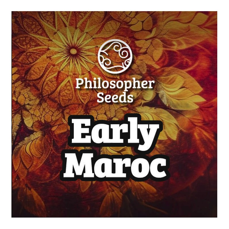 EARLY MAROC · Philosopher Seeds · semi di canapa · Fem